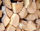 Центр поддержки экспорта Коми открыл новые перспективы сотрудничества с Турцией