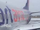 В Усинске дикое животное чуть не привело к трагедии с самолетом