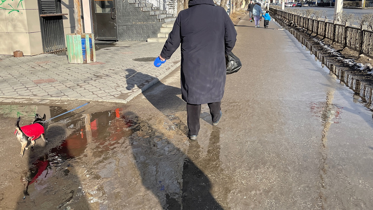 Главная картинка новости: Пенсионерам сказали подать заявление на выплату. Нужно успеть до 1 мая