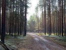 Авиалесоохрана предупреждает о повышенной пожарной опасности в Коми