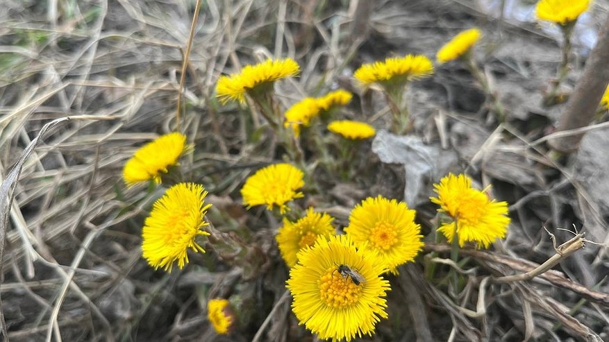 Главная картинка новости: Потепление на юге и жгучая прохлада на севере: погода в Коми 4 мая