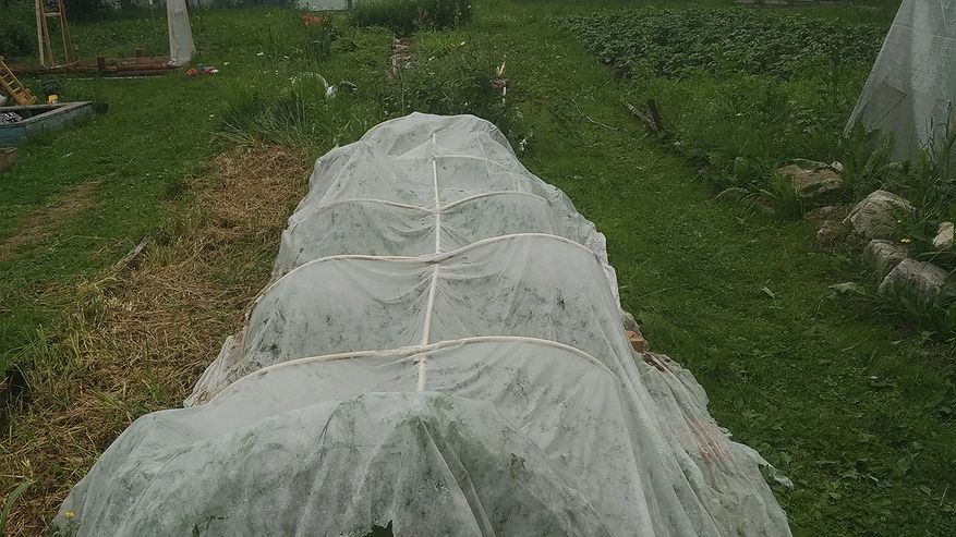 Главная картинка новости: С 7 мая полностью будут запрещены скважины на участке: их заставят убрать