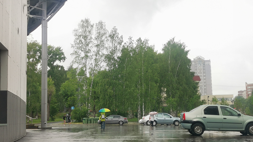 Главная картинка новости: Ночью заморозки до - 5, а днем ливни: Вильфанд дал точный прогноз на первую половину мая