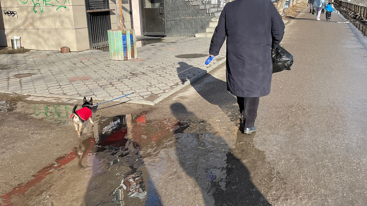 Главная картинка новости: Подписан новый указ. Пенсионеров, у которых есть стаж 20/25 лет, ждет большой сюрприз