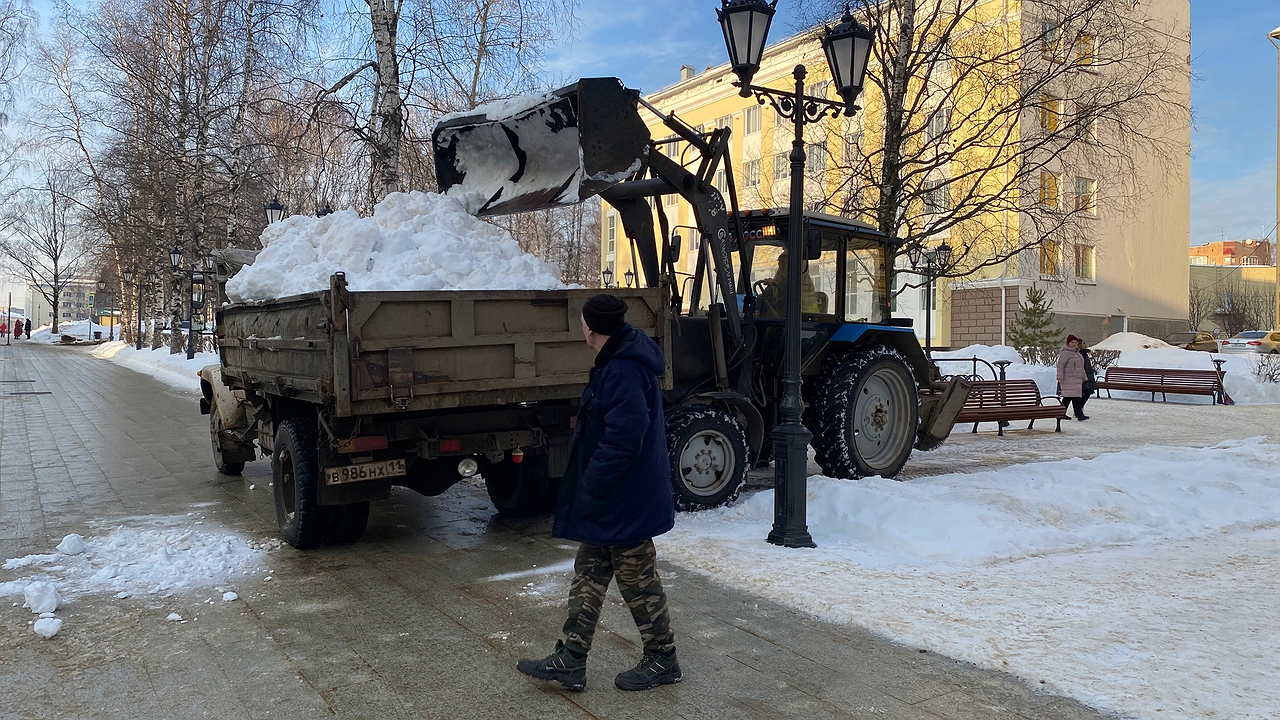 Главная картинка новости: Холода никуда не уйдут: опытный синоптик назвал даты, когда можно высаживать рассаду