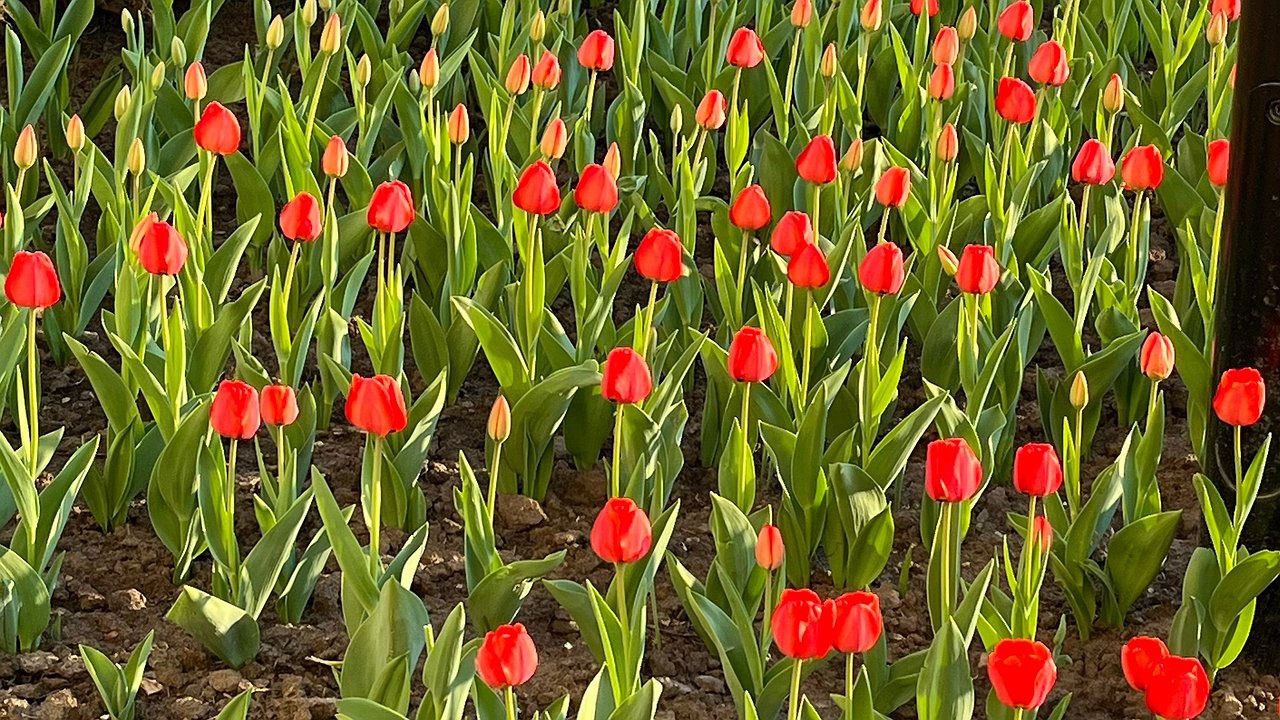 Главная картинка новости: Усинск встречает понедельник морозным утром и надеждой на потепление