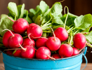 1 ложка в воду — и редис попрет как на дрожжах: вырастет сладким, сочным и размером с кулак — мощная подкормка
