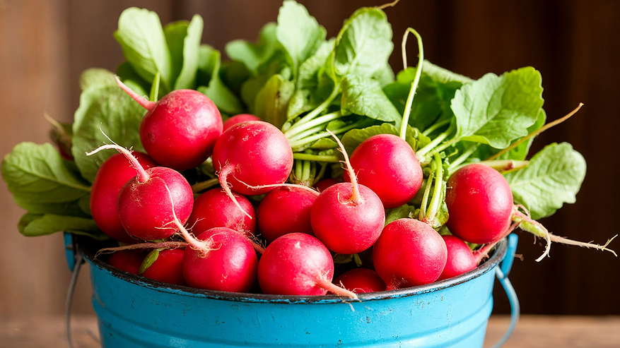 Главная картинка новости: 1 ложка в воду — и редис попрет как на дрожжах: вырастет сладким, сочным и размером с кулак — мощная подкормка