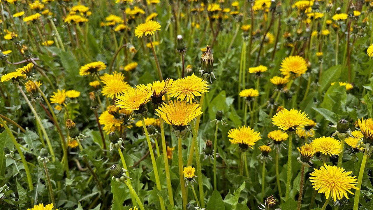 Главная картинка новости: Усинск встречает вторник прохладой и облачностью