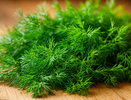 Укроп ращу только так - бабушкин метод: станет густым и насыщенным всего за 3 дня