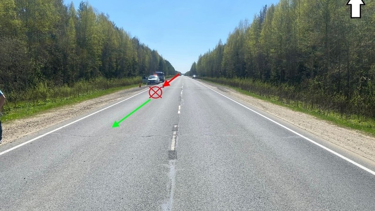 Главная картинка новости: Трагедия на трассе в Коми: велосипедист погиб под колесами КамАЗа