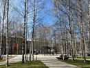 Усинск встречает понедельник прохладой и свинцовым небом