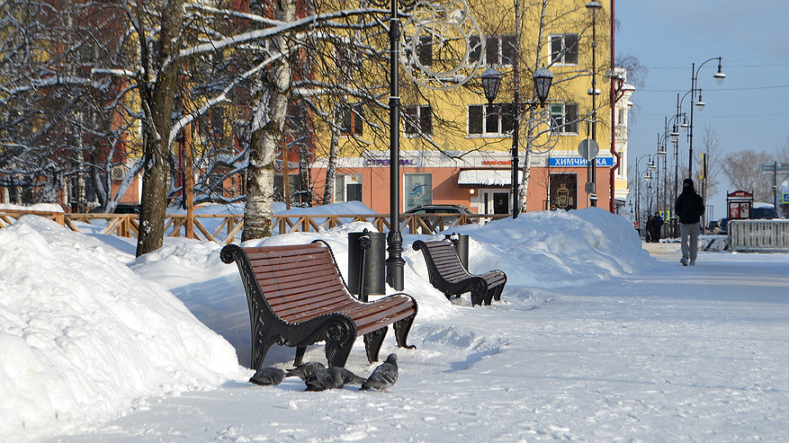 Главная картинка новости: Возвращение к зиме: Гидрометцентр полностью изменил прогноз с 28 мая — снова морозы и аномальный снег
