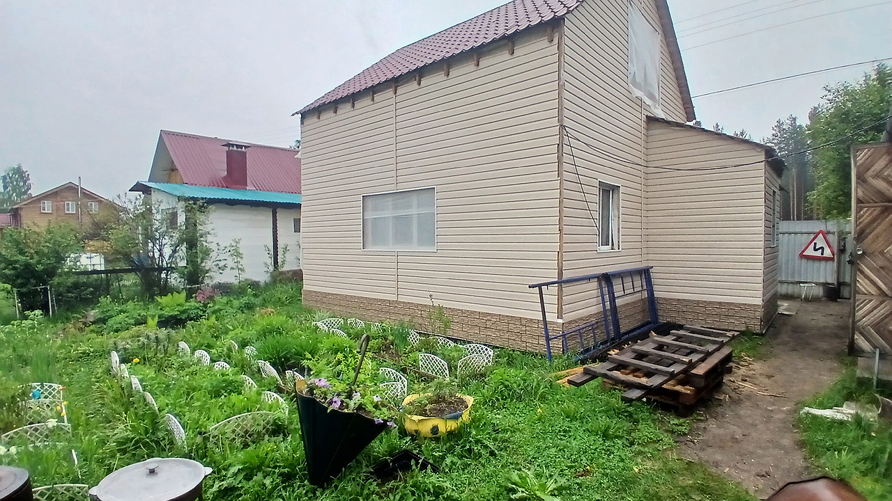 Главная картинка новости: Правильная подкормка перцев после высадки рассады: повидавшая дачница поделилась рецептом мощного раствора