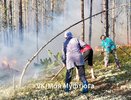 Жители Коми спасли свою деревню от лесного пожара