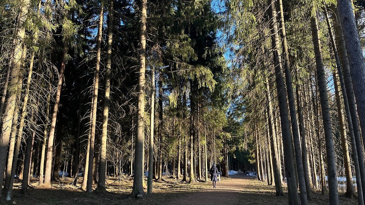 Главная картинка новости: За сбор популярной ягоды россиянам могут грозить крупные штрафы