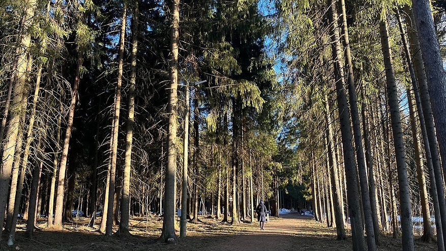 Главная картинка новости: За сбор популярной ягоды россиянам могут грозить крупные штрафы