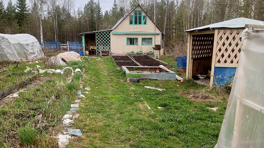 Главная картинка новости: Наконец нашел идеальное решение, чем закрыть дорожки между грядок в огороде - бюджетный способ, и сорняки больше не компостируют мозги