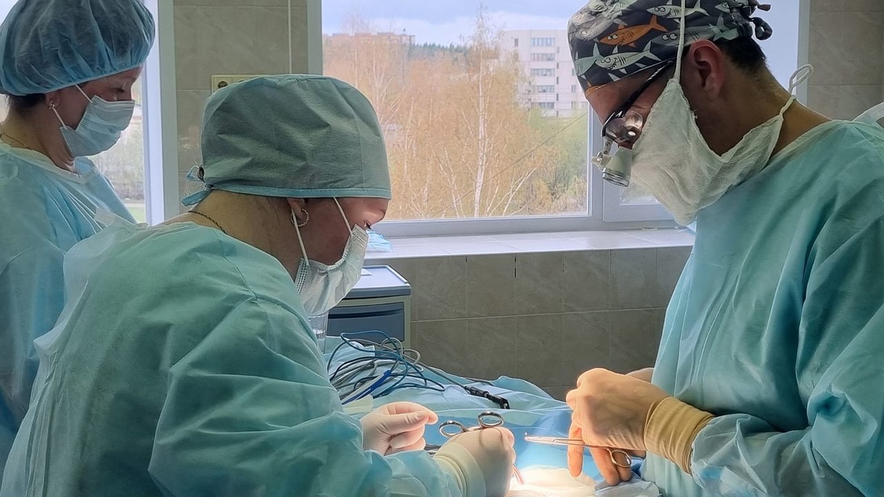 Главная картинка новости: Чудо в Сыктывкаре: врачи выходили новорожденного весом полкилограмма 