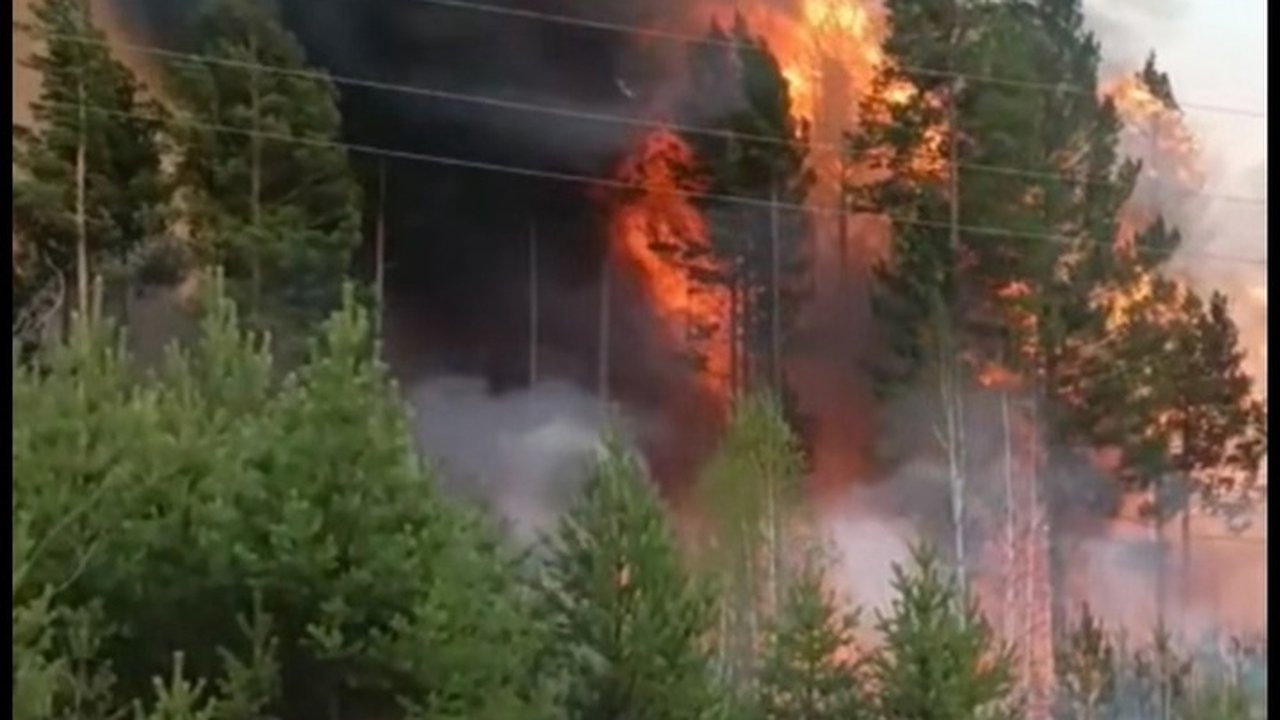 Главная картинка новости: Лесной спецназ Коми вернулся с победой: пожары в Забайкалье отступили