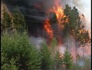 Лесной спецназ Коми вернулся с победой: пожары в Забайкалье отступили