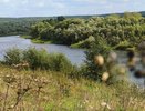 Округ в Коми заплатит миллионы за загрязнение реки