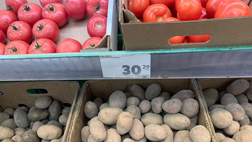 Главная картинка новости: Овощ, который умерщвляет почки по щелчку пальцев: в Европе его не едят, а в России все обожают