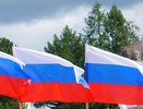 Житель Коми ответил перед законом за уничтожение российского флага