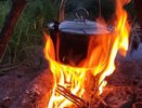 Усинцам запретят разводить костры из-за пожароопасного сезона