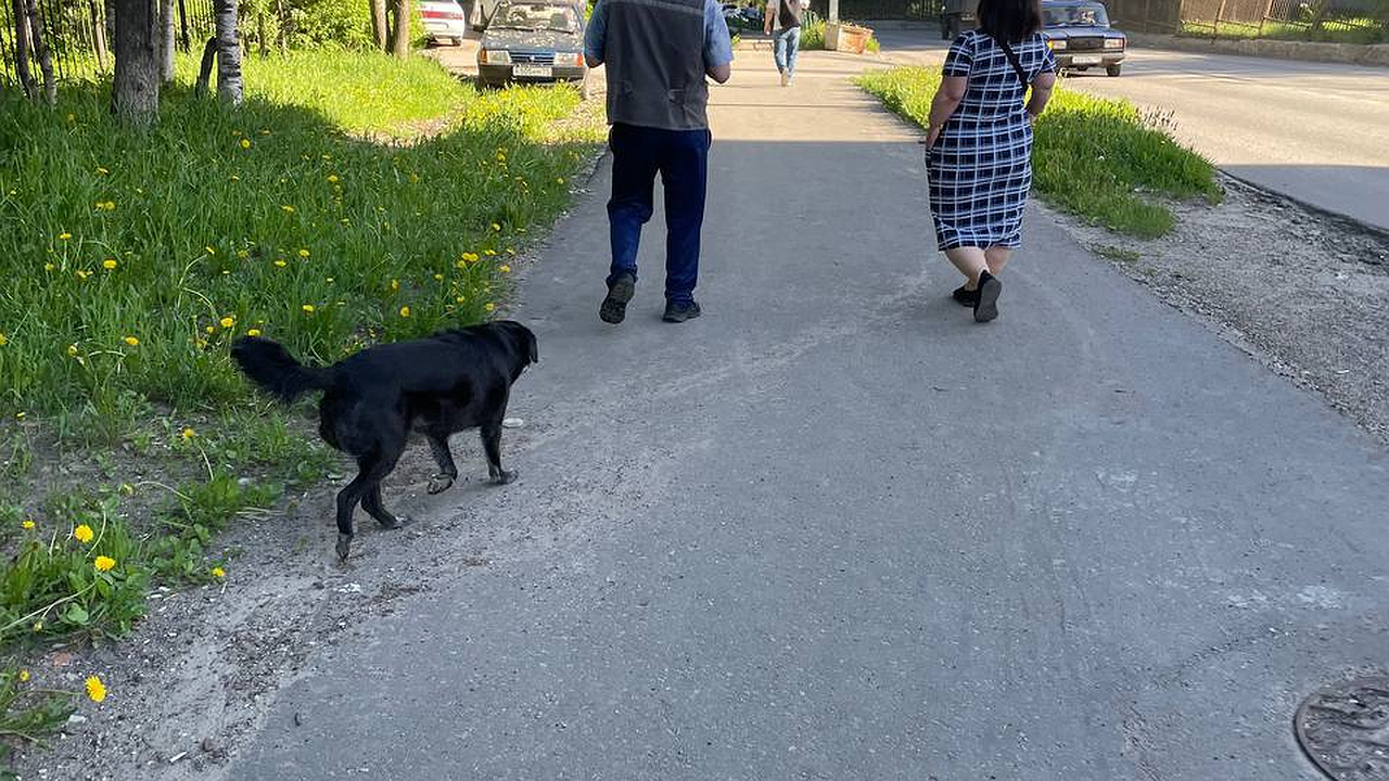 Главная картинка новости: Социальный фонд пересчитает пенсии: в июле добавят 4500 рублей