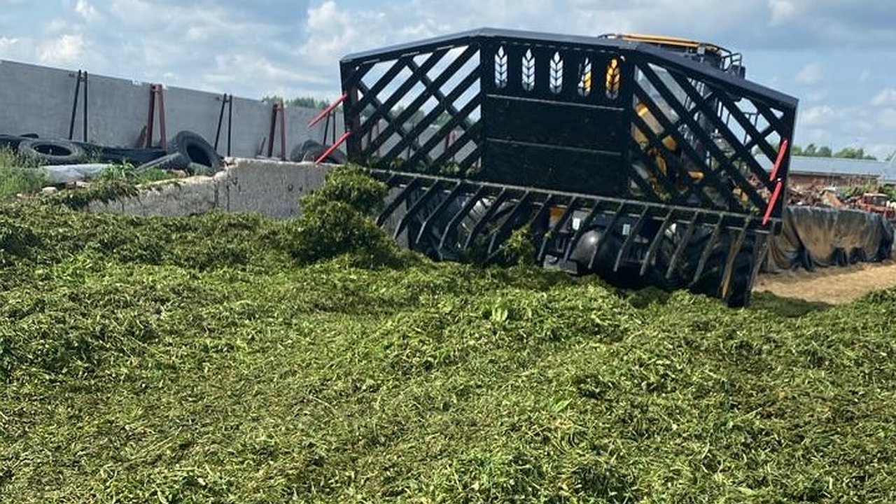 Главная картинка новости: Коми внедряет инновации в кормопроизводство через эксперименты с культурами