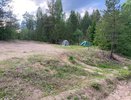 В Коми проведут отстрел медведей