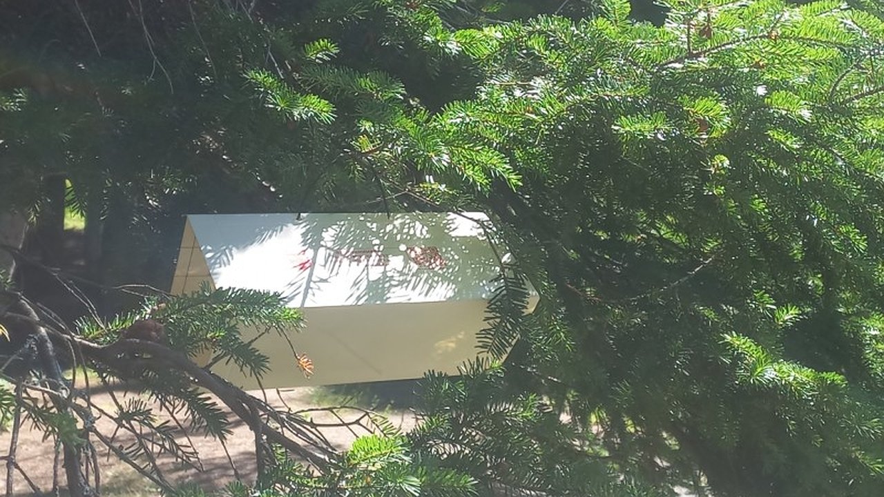 Главная картинка новости: В Коми началась охота на вредителей: Россельхознадзор установил ловушки