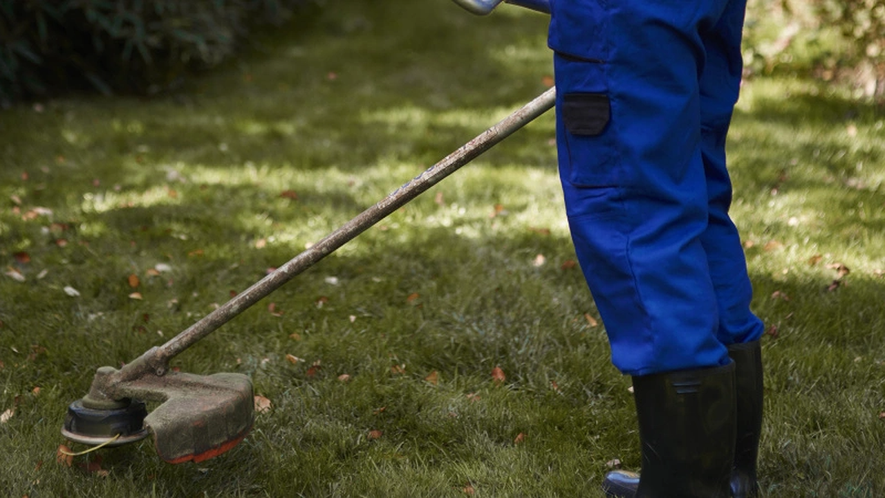 Главная картинка новости: "И зачем так маяться, убери леску с триммера": сосед из деревни подсказал, как легко косить траву и не тратиться на дорогую леску