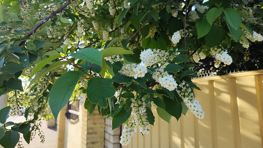 Главная картинка новости: В Коми 24 июня будет дождливо и прохладно на большей части региона