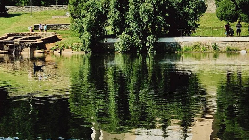 Главная картинка новости: Тепло, но с сюрпризами: чего ждать от погоды в Коми в последний день июня