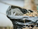 Полярный круг под Усинском: как нефтяники и экологи сохраняют достопримечательность