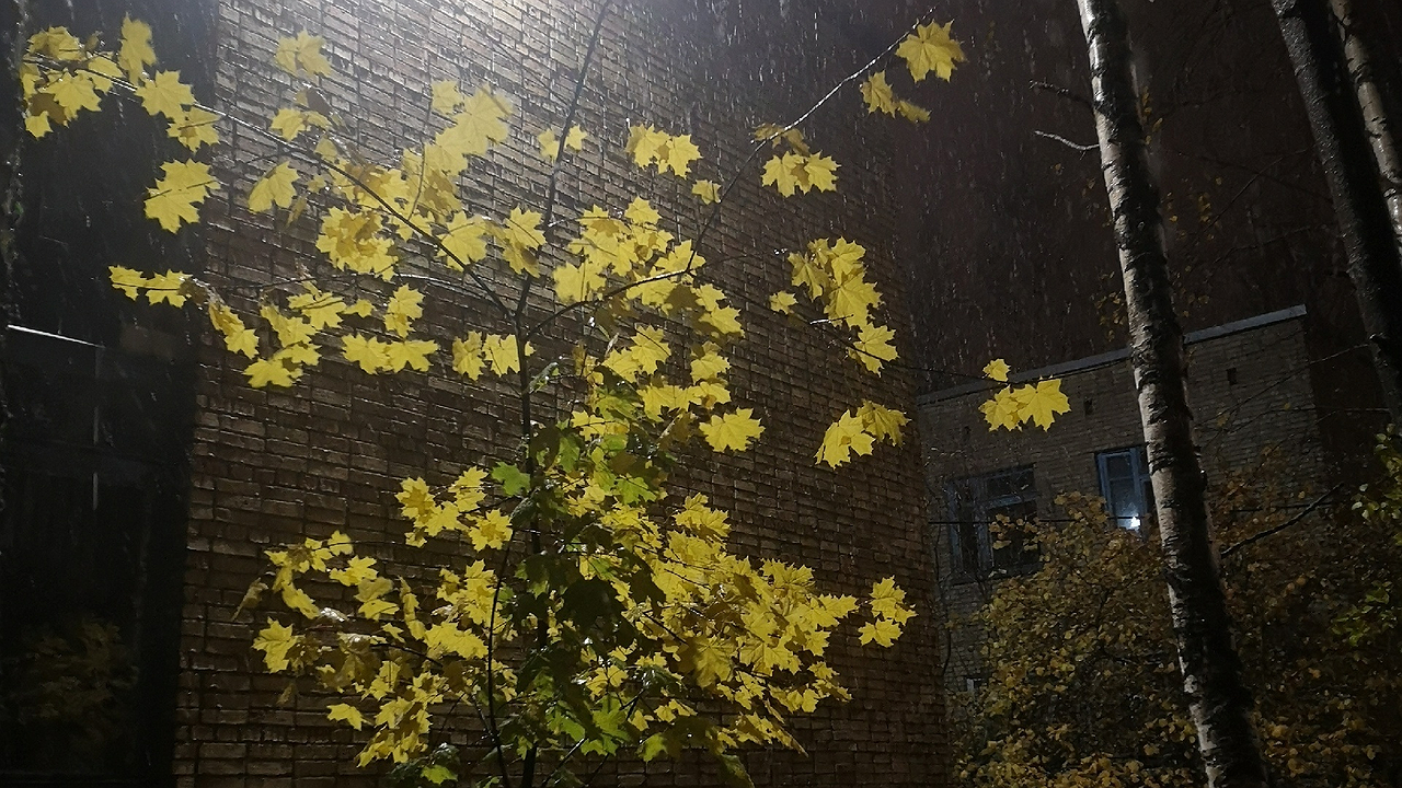 Главная картинка новости: Холода возвращаются: Гидрометцентр сообщает о морозах и мокром снеге с 9 июля