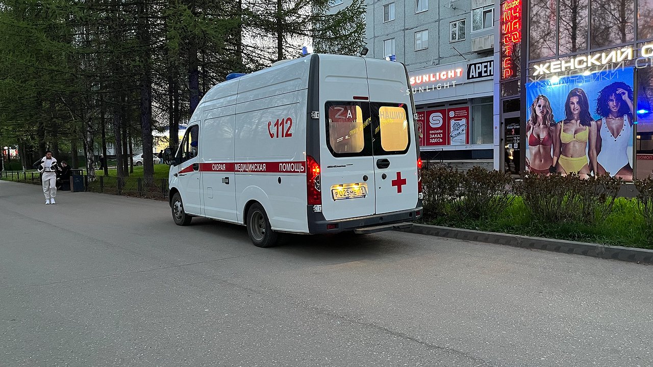 Главная картинка новости: В Коми водитель погиб при столкновении с грузовиком на трассе