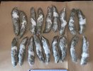 В Усинске пресечён масштабный наркотрафик: задержаны сбытчики с полукилограммом запрещённых веществ