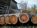 Республика Коми наращивает экспорт лесопродукции: 823 тысячи кубометров за полгода
