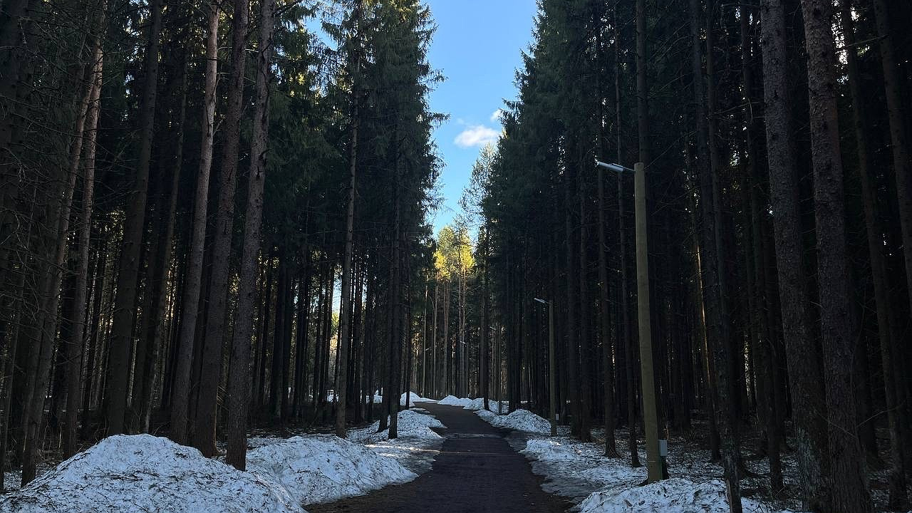 Главная картинка новости: Куртки не убирайте, скоро они пригодятся: Вильфанд рассказал о резком похолодании почти на 25 градусов