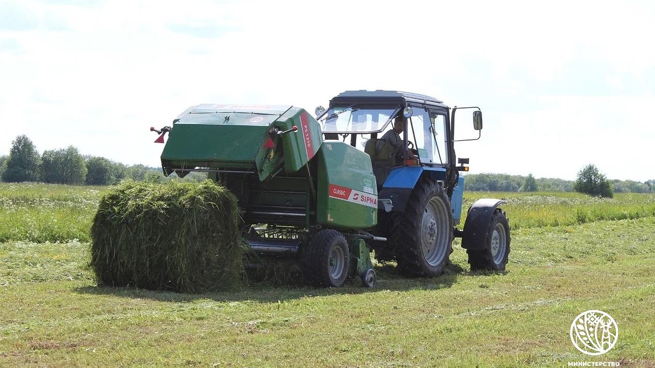 Главная картинка новости: В Коми из-за непогоды затопило картофельные поля
