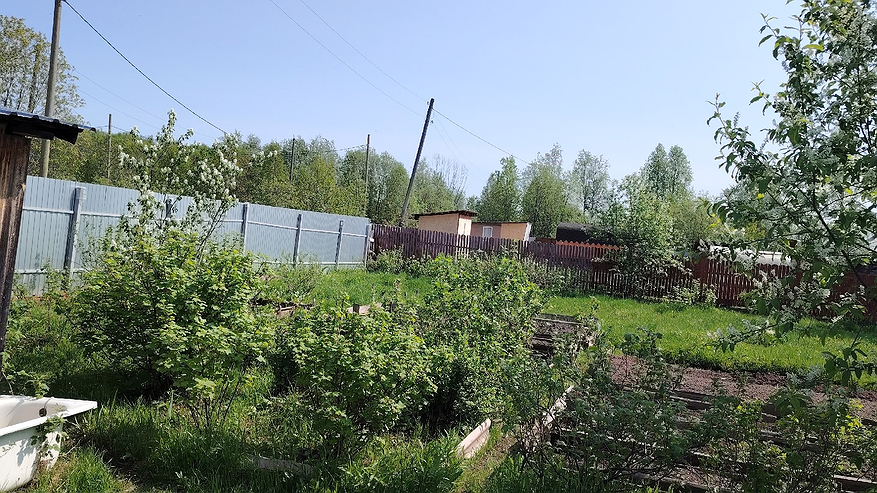 Главная картинка новости: Больше не выброшу пасынки и ботву томатов в компост - на них я уже сэкономил "целое состояние": 2 полезные хитрости