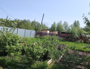 5 ложек на 10 литров - и опрыскала капусту в июле: белокрылка в муках покинула грядки — целые здоровые кочаны уже к концу сезона