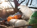 В Республике Коми ликвидирована крупная несанкционированная свалка