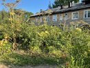 Июль – оптимальное время для борьбы с опасным борщевиком в Коми