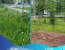 В Усинске коммунальщики улучшают городскую среду