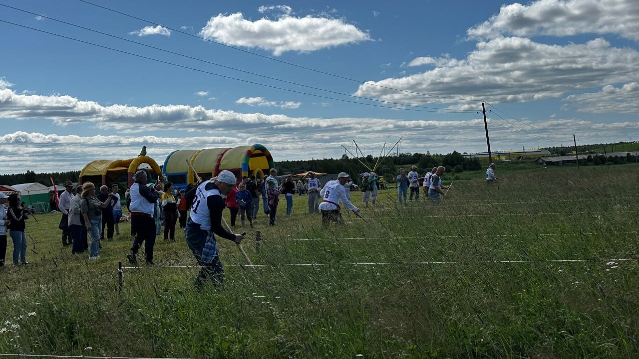 Главная картинка новости: В Республике Коми прошел турнир "Звени, коса!"