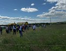 В Республике Коми прошел турнир "Звени, коса!"
